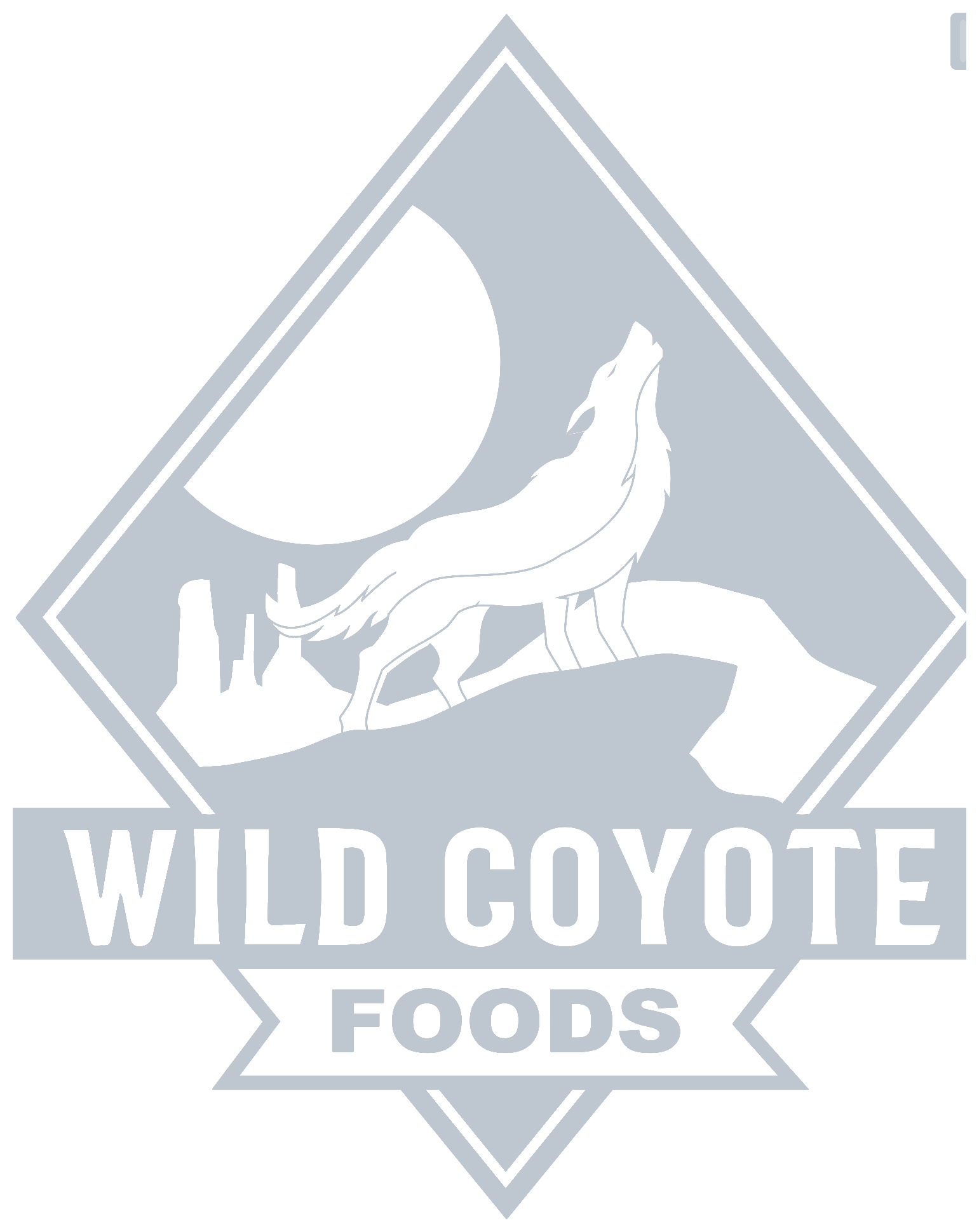 Wild Coyote